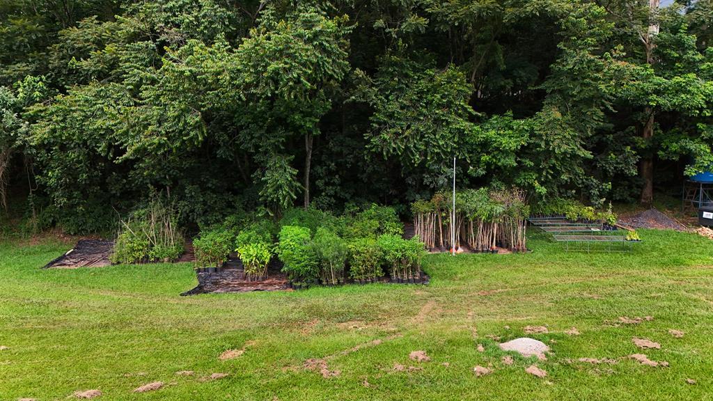 Cidade de Barueri celebra o Meio Ambiente com ações educativas e sustentáveis