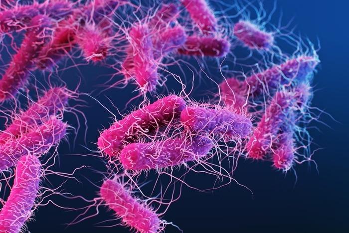 Paracetamol a partir de plástico: estudo transforma PET em medicamento e aponta solução sustentável