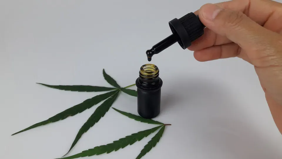 Prefeitura de São Paulo vai ampliar indicação de canabidiol no SUS para 31 doenças