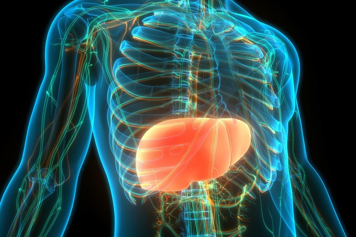 Cinco hábitos simples para evitar gordura no fígado, segundo médicos