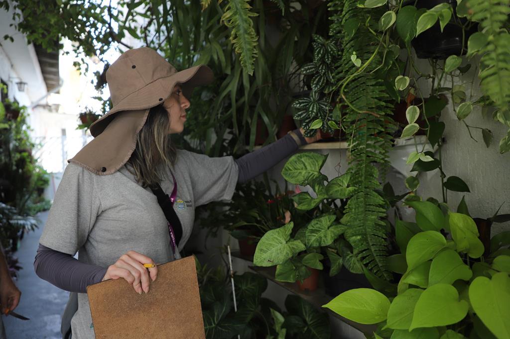 Jardim Tupan recebe ação intensiva de combate à dengue neste sábado, dia 6