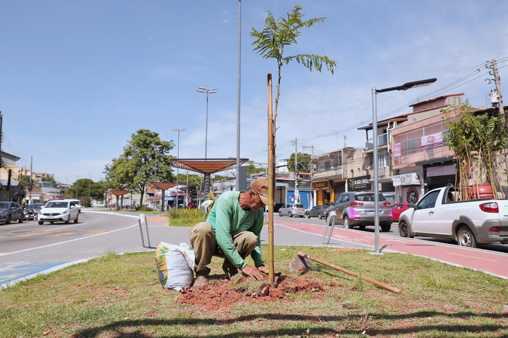 Sema promove plantio de 35 mudas nativas em praça do Jardim Belval