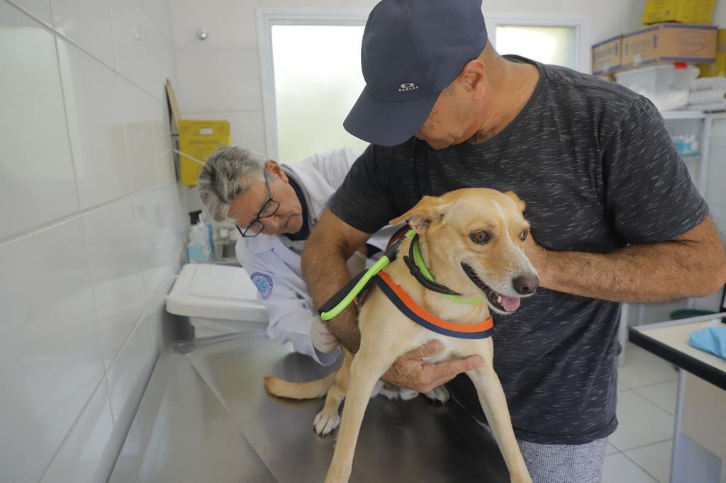 Centro Jaraguá Mirim terá posto de vacinação contra raiva para cães e gatos